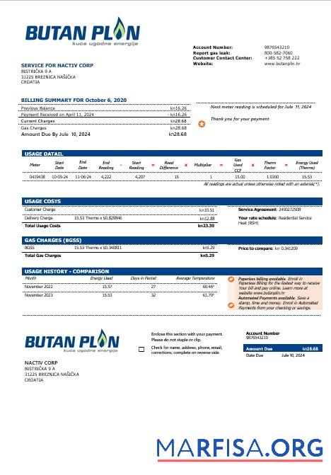 Редактируемый Хорватия BUTAN PLIN doo Газ Бизнес Счёт за коммунальные услуги Счёт Шаблон in Word and pfd Форматы