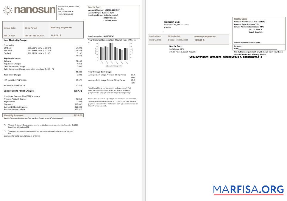 Реалистичный Чехия Nanosun sro Бизнес Счёт за коммунальные услуги Счёт Шаблон in Word in pfd Форматы