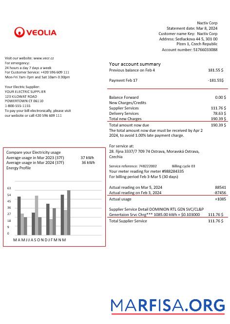 Чехия Veolia Energy Чехия energy Бизнес Счёт за коммунальные услуги Счёт in Word and PDF formats1 дизайн