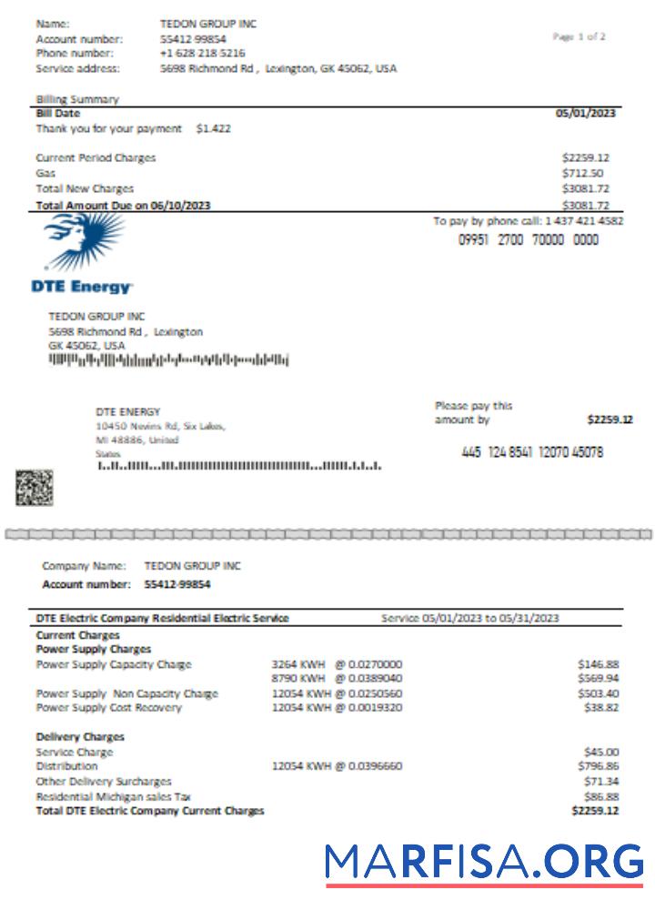 DTE Energy Счёт за коммунальные услуги Бизнес Счёт SCR Страница 1 предпросмотр
