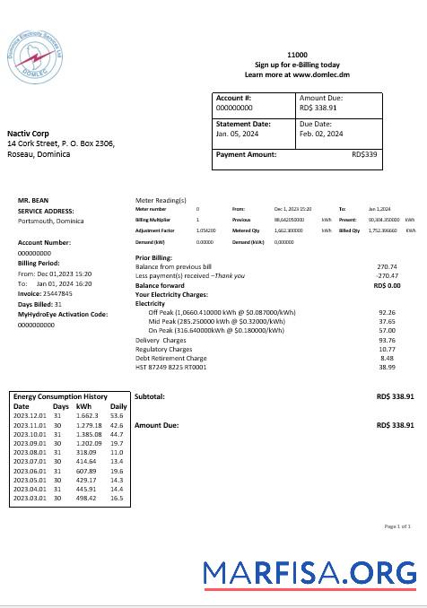 Доминика Электричество Services Limited Электричество Бизнес Счёт за коммунальные услуги Счёт Word and PDF Форматы предпросмотр