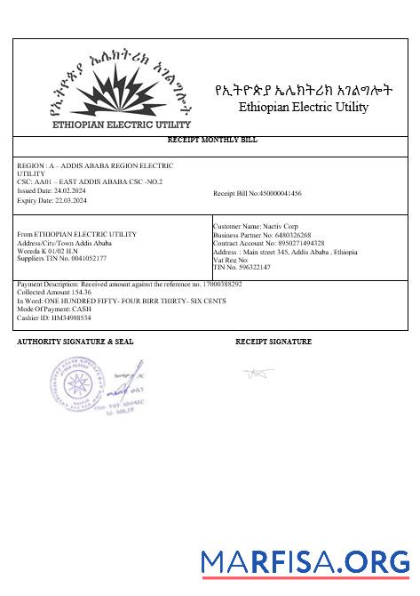 Ethiopian electric Бизнес Счёт за коммунальные услуги Счёт in wordand PDF formats1 шаблон