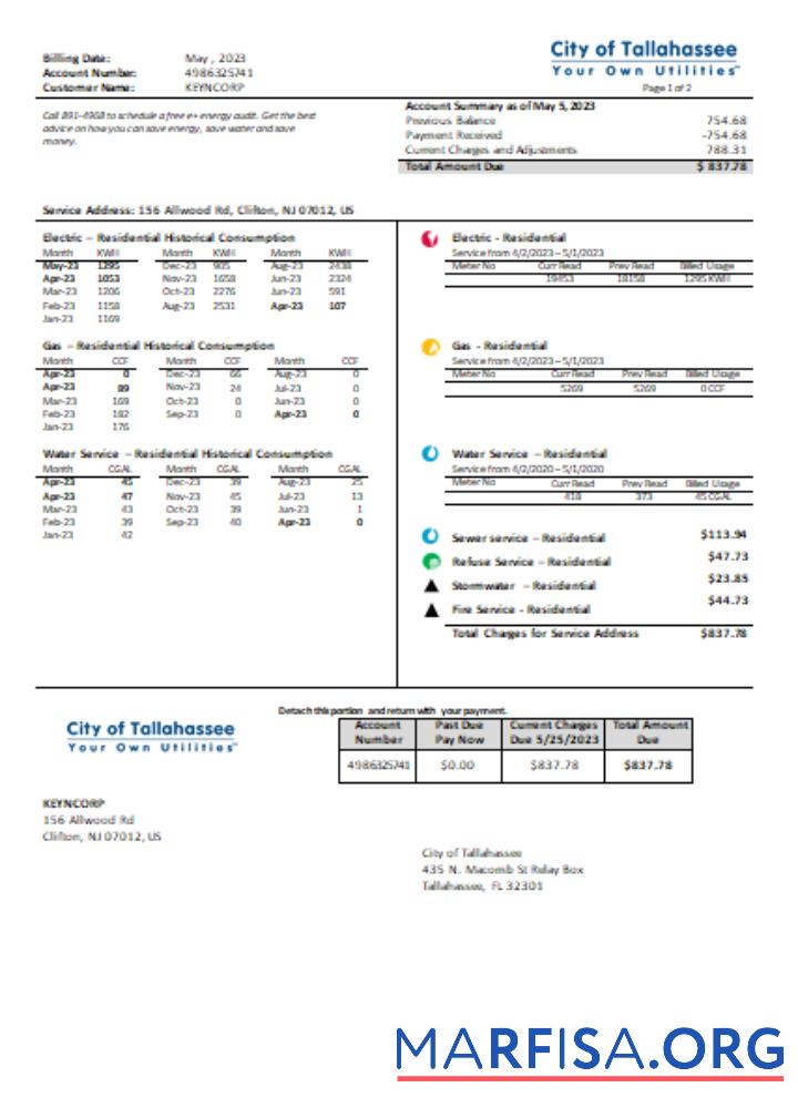 Florida City of Tallahassee Florida Your Own Utilities Бизнес Счёт, SCR предпросмотр