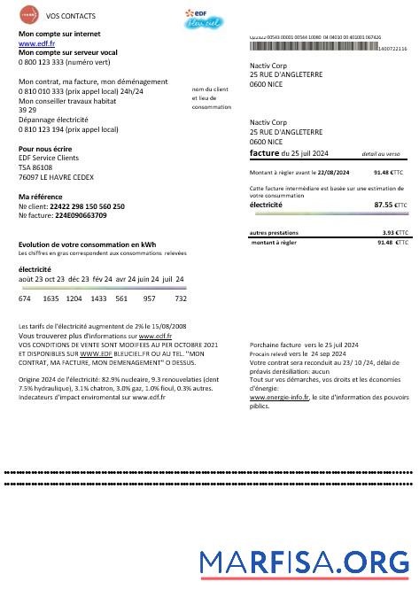 Редактируемый Франция EDF proof of address Бизнес Счёт за коммунальные услуги Счёт Шаблон in Word and PDF Форматы