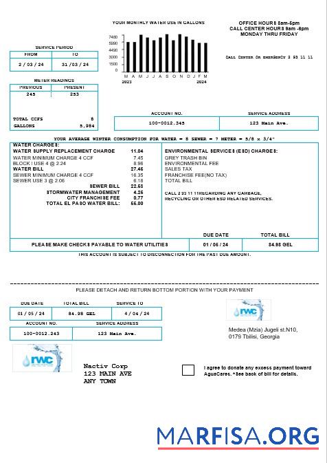 Высокое Качество Грузия RWC Вода Бизнес Счёт Шаблон in Word and PDF formats1