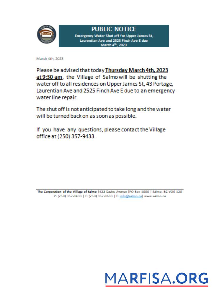 Hub of the Salmo Kootenays Счёт за коммунальные услуги shut off notice Бизнес Счёт, SCR макет
