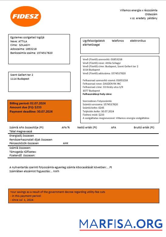 Реалистичный Венгрия FIDESZ easy to fill Бизнес Счёт за коммунальные услуги Счёт Шаблон in Word and PDF Форматы