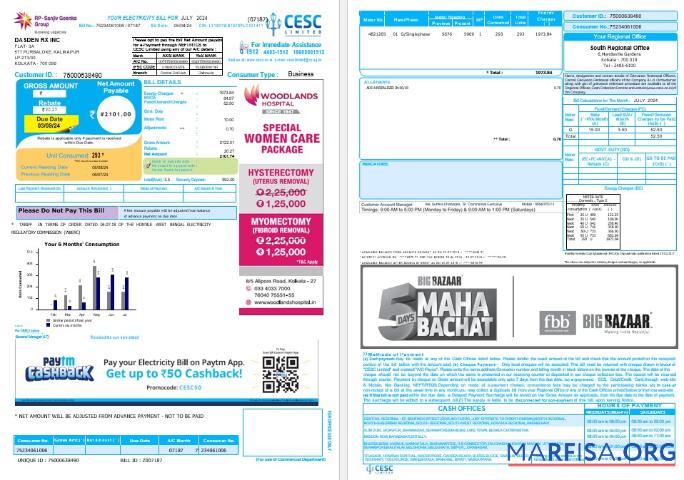 Индия CESC LIMITED Бизнес Счёт за коммунальные услуги Счёт Word and PDF образец