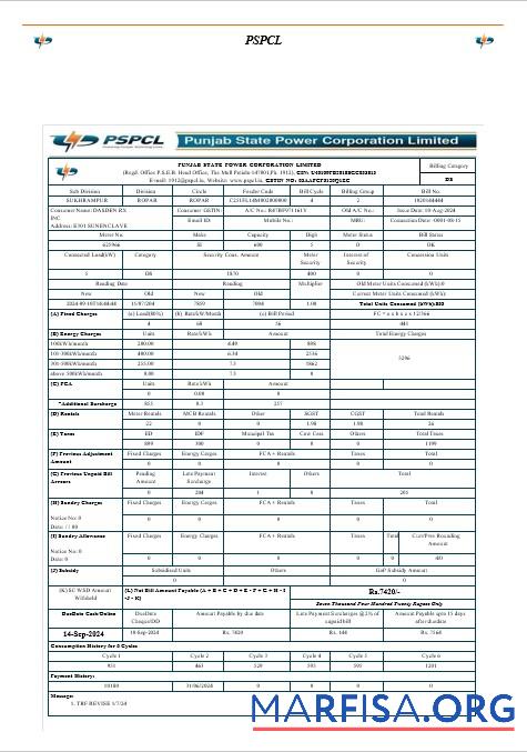 Редактируемый Индия PSPCL Бизнес Счёт за коммунальные услуги Счёт Word and PDF Шаблон ca╠üc trang ─æa╠â xo╠üa