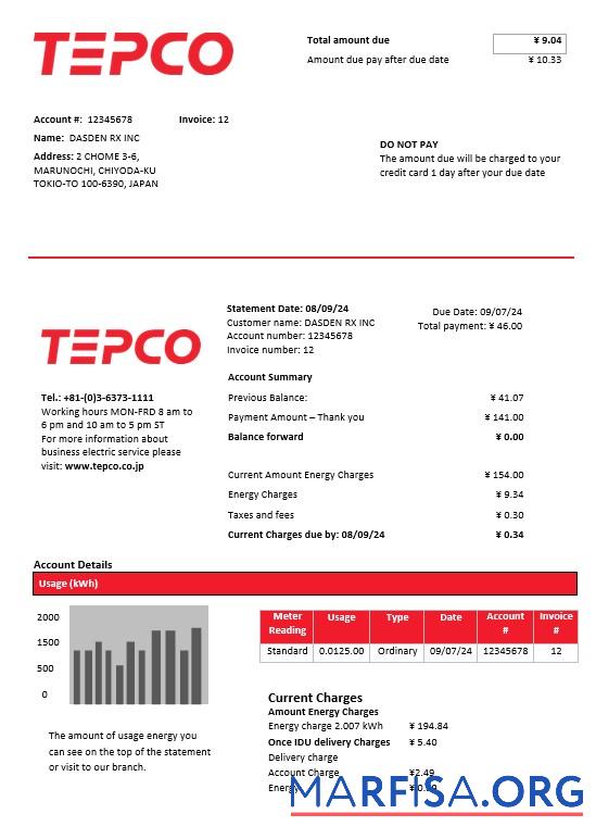 Высокое Качество Япония Tokyo Electric Power Компания Электричество Бизнес Счёт за коммунальные услуги Счёт Шаблон in Word and PDF Формат
