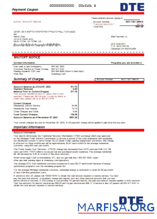 Профессиональный Michigan DTE Energy Счёт за коммунальные услуги Бизнес Счёт, Word and PDF Шаблон SCR