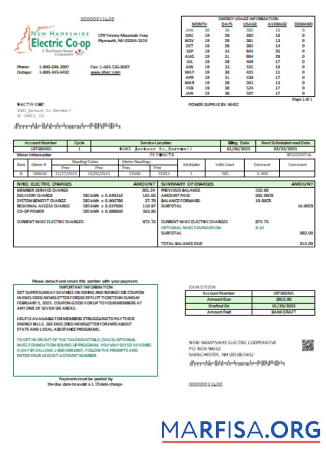 Новый Hampshire Electric Co op Электричество Счёт за коммунальные услуги Бизнес Счёт, SCR макет