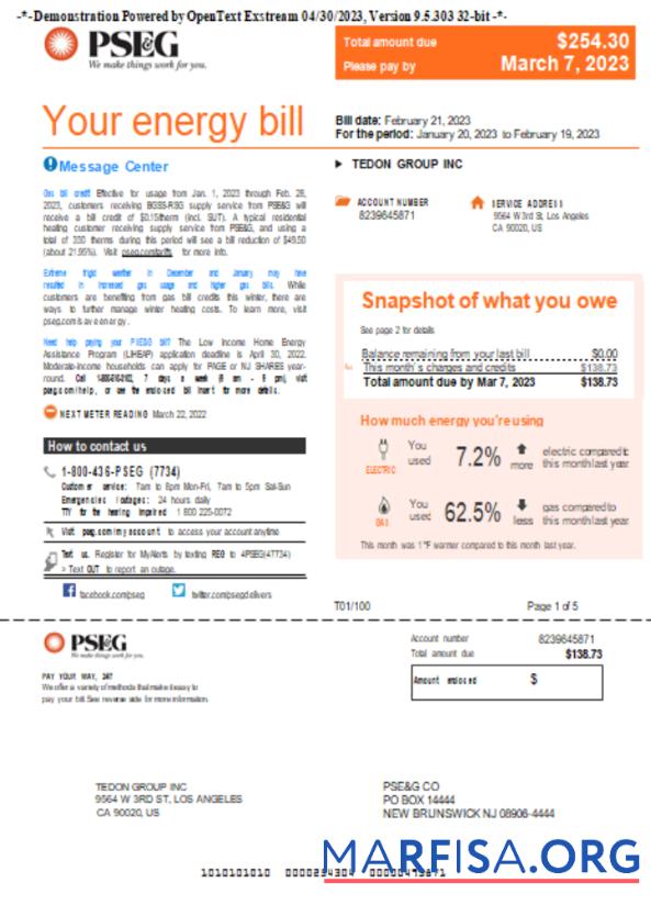 Новый York PSEG Счёт за коммунальные услуги Бизнес Счёт, Страница 1, SCR образец