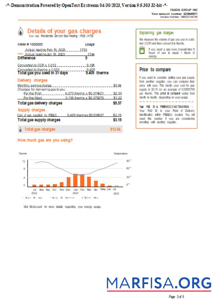 Новый York PSEG Счёт за коммунальные услуги Бизнес Счёт, Страница 3,SCR шаблон