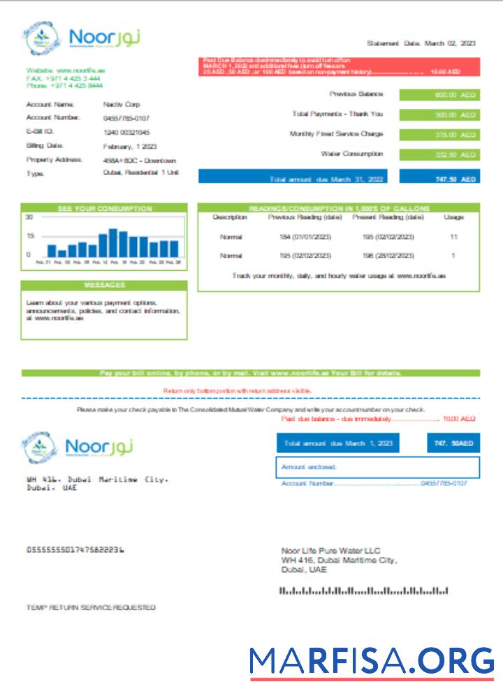 Noor Life Pure Вода LLC Счёт за коммунальные услуги Бизнес Счёт, SCR шаблон