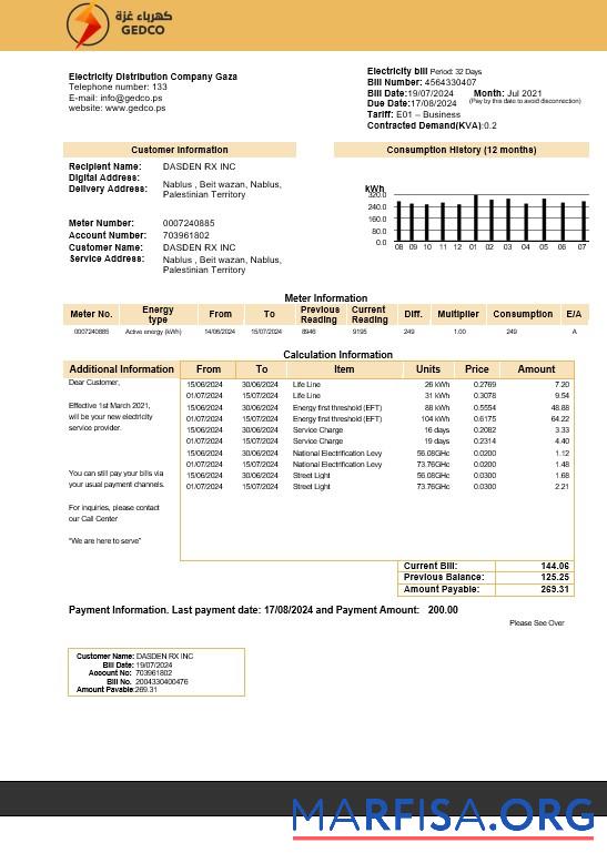 Премиум Палестина Электричество Distribution Компания Gaza (GEDCO) Бизнес Счёт за коммунальные услуги Счёт Шаблон in Word and PDF Форматы