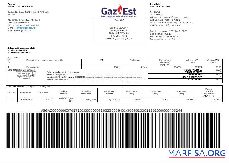 Редактируемый Румыния Gaz Est Бизнес Счёт за коммунальные услуги Счёт Word and PDF Шаблон