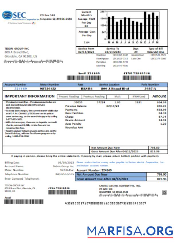 Santee Electric Cooperative Inc (SEC) proof of address Счёт за коммунальные услуги Бизнес Счёт, SCR предпросмотр