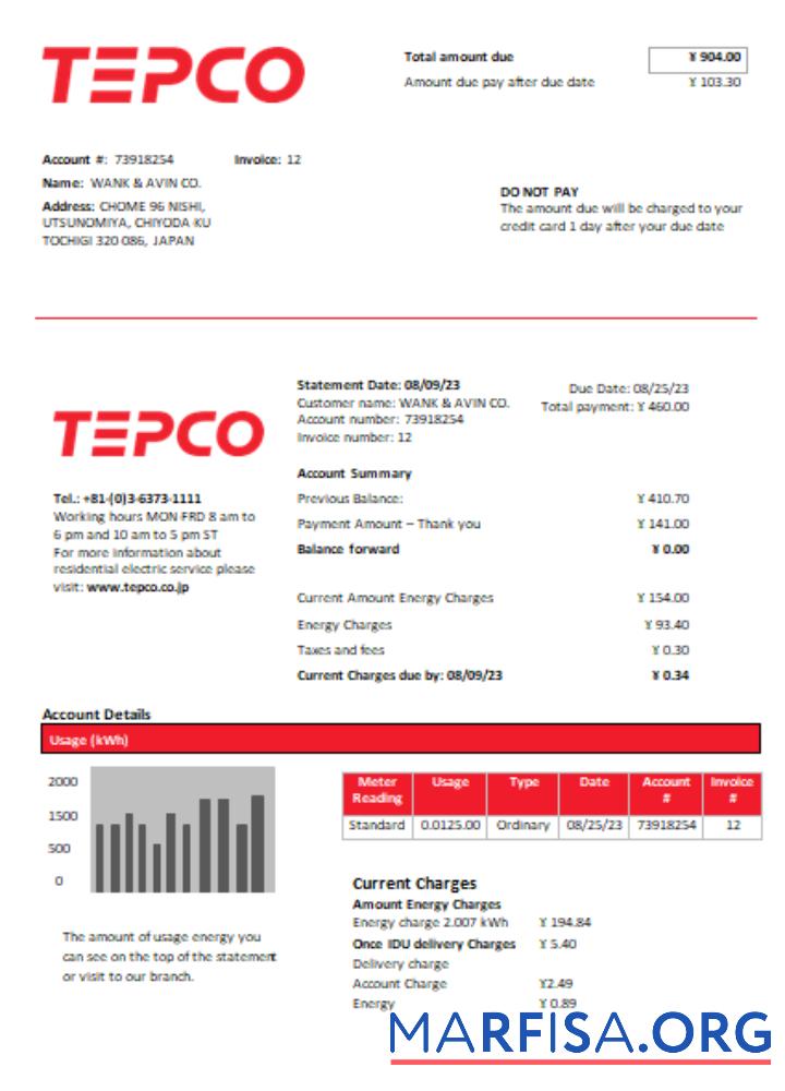 Tokyo Electric Power Компания (TEPCO) Электричество Счёт за коммунальные услуги Бизнес Счёт, SCR шаблон