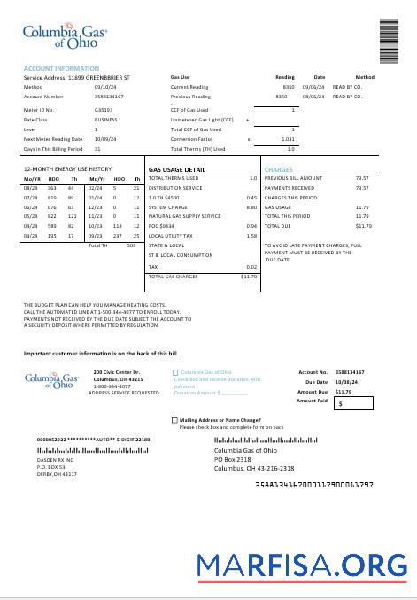 Премиум США Columbia Газ of Ohio Бизнес Счёт за коммунальные услуги Счёт Шаблон in Word and PDF Форматы