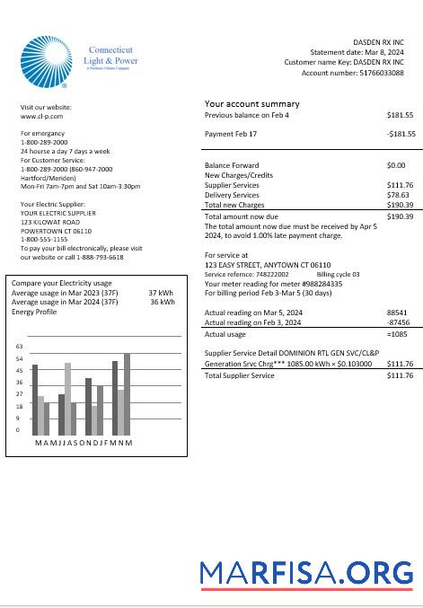 США Connecticut Light & Power Электричество Бизнес Счёт за коммунальные услуги Счёт in Word and PDF Форматы предпросмотр