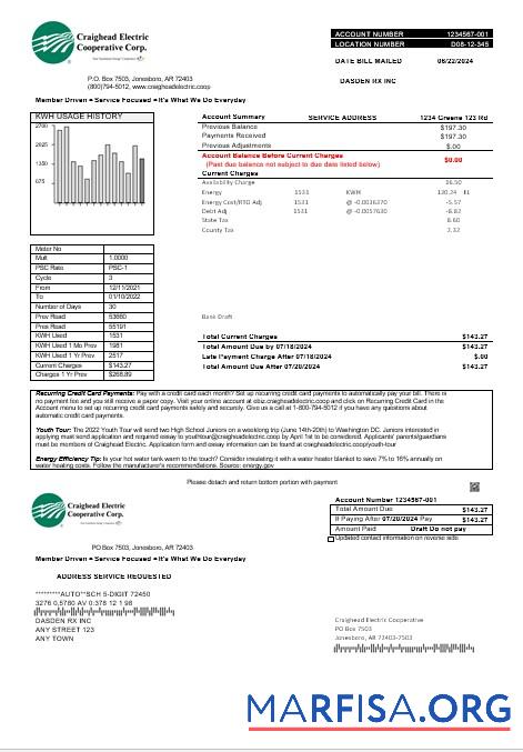 Премиум США Craighead Electric Бизнес Счёт за коммунальные услуги Счёт Шаблон in Word and PDF Форматы