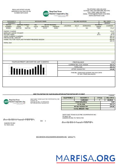 Премиум США Deep East Texas Electric Бизнес Счёт за коммунальные услуги Счёт Шаблон in Word and PDF Форматы