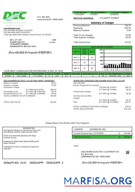 Реалистичный США Delaware Electric Co op Бизнес Счёт за коммунальные услуги Счёт Шаблон in Word and PDF Форматы