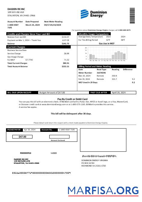 Премиум США Dominion Energy Бизнес Счёт за коммунальные услуги Счёт Шаблон in Word and PDF Форматы