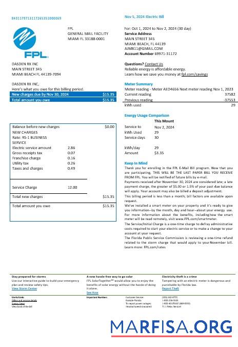 США Florida FPL Электричество Бизнес Счёт за коммунальные услуги Счёт Word and PDF Форматы, Версия 2 предпросмотр
