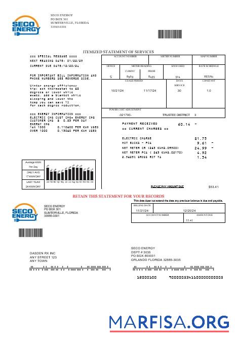 Профессиональный США Florida Seco Energy Бизнес Счёт за коммунальные услуги Счёт Шаблон in Word and PDF Форматы