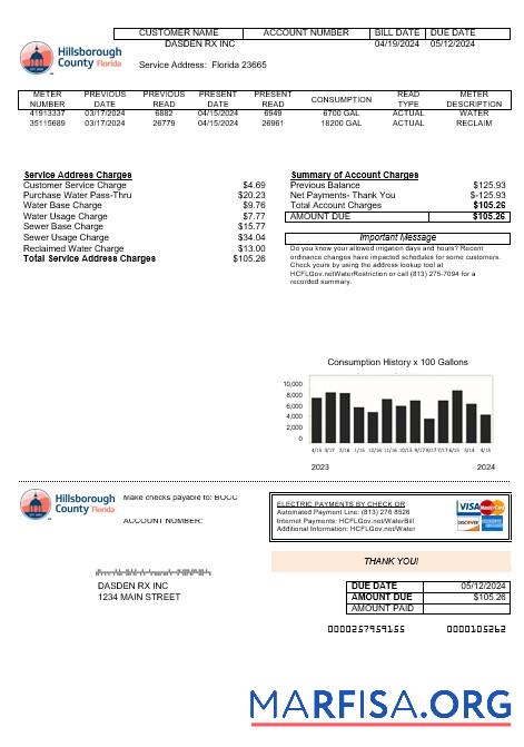 Высокое Качество США Hillsborough County Бизнес Счёт за коммунальные услуги Счёт Шаблон in Word and PDF Форматы