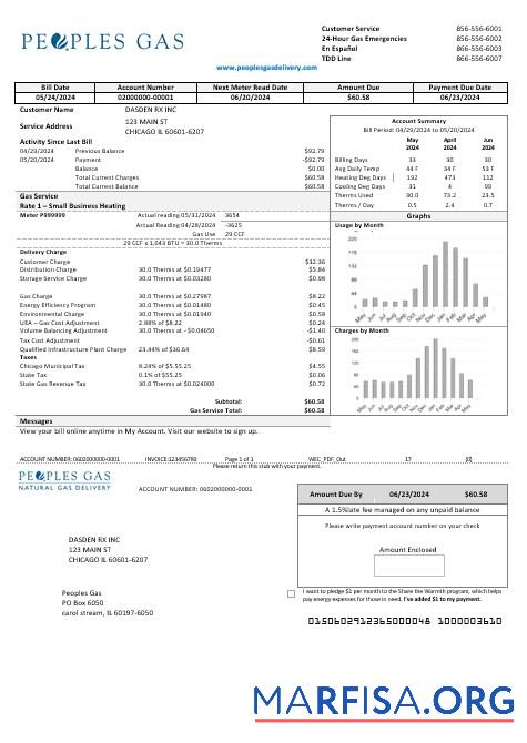 Высокое Качество США Illinois Peoples Газ Бизнес Счёт за коммунальные услуги Счёт Шаблон in Word and PDF Форматы