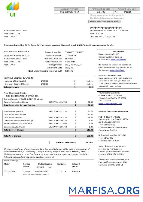 Высокое Качество США Massachusetts Chelsea UI The United Illuminating Компания Бизнес Счёт за коммунальные услуги Счёт Word and PDF Шаблон