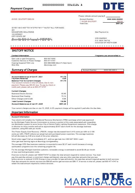 Высокое Качество США Michigan DTE Energy Бизнес Счёт за коммунальные услуги Счёт Шаблон in Word and PDF Форматы
