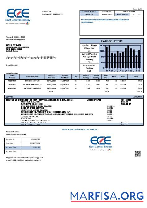 Профессиональный США Minnesota East Central Energy Бизнес Счёт за коммунальные услуги Счёт Шаблон in Word and PDF Форматы