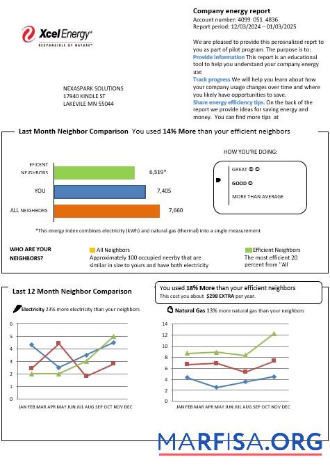 Премиум США Minnesota Xcel Energy Бизнес Счёт за коммунальные услуги Счёт Шаблон in Word and PDF Форматы