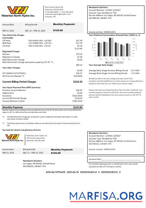 Профессиональный США Nevada Waterloo North Hydro Бизнес Счёт за коммунальные услуги Счёт Шаблон in Word and PDF Форматы (Версия 2)