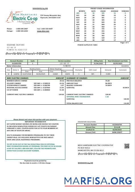 Реалистичный США Новый Hampshire Electric Co op Электричество Бизнес Счёт за коммунальные услуги Счёт Шаблон in Word and PDF Форматы