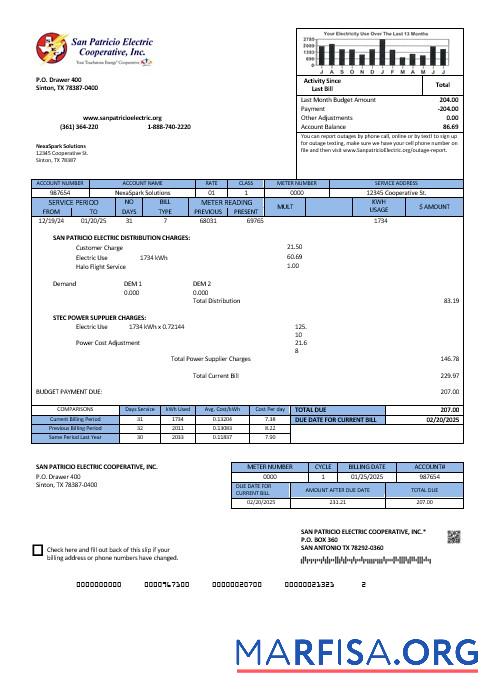 Высокое Качество США Texas San Patricio Electric Corporative Бизнес Счёт за коммунальные услуги Счёт Шаблон in Word and PDF Форматы