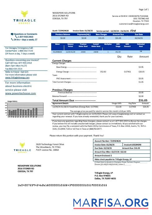 Премиум США Texas TriEagle Бизнес Счёт за коммунальные услуги Счёт Шаблон in Word and PDF Форматы
