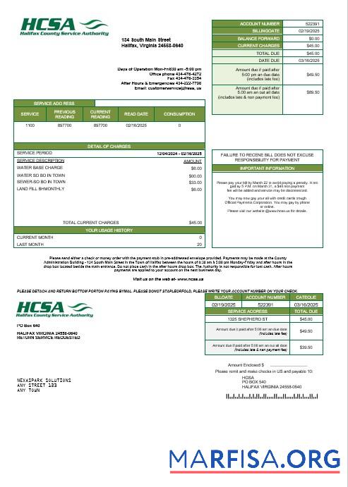 Реалистичный США Virginia HCSA Бизнес Счёт за коммунальные услуги Счёт Шаблон in Word and PDF Форматы