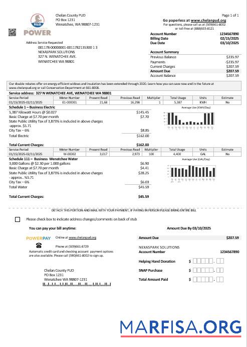 Профессиональный США Washington Chelan County PUD Бизнес Счёт за коммунальные услуги Счёт Шаблон in Word and PDF Форматы