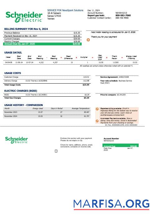 Высокое Качество Йемен Schneider Electric Бизнес Счёт за коммунальные услуги Счёт Шаблон in Word and PDF Форматы