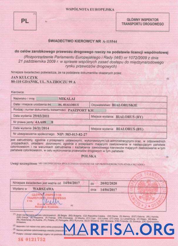 Польша drivers Сертификат шаблон