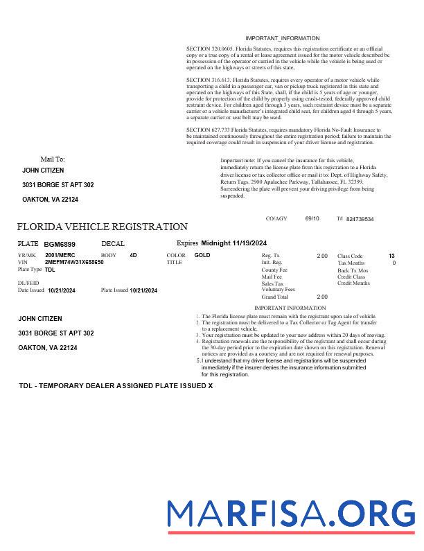 Реалистичный США Florida vehicle Регистрация Шаблон in Word and PDF Форматы