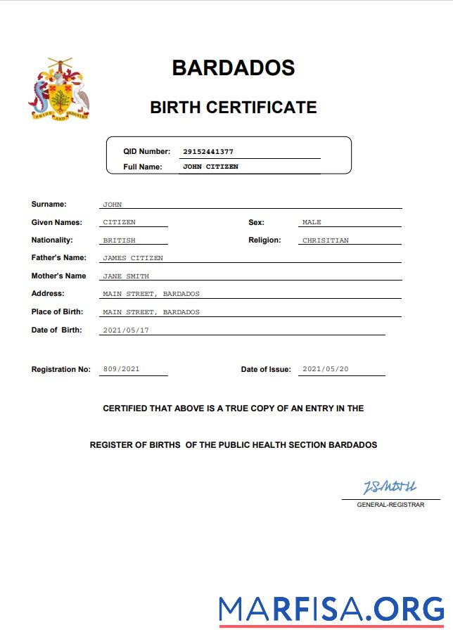 Realistisch Barbados Geburt Zertifikat Vorlage in Word and PDF
