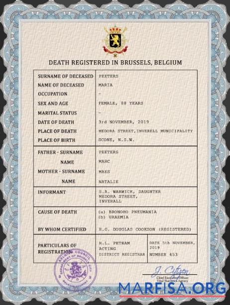 Premium Belgien vital record Tod Zertifikat PSD Vorlage