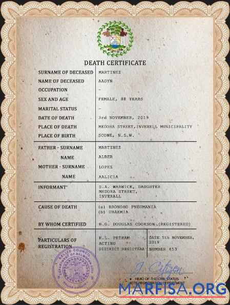 Hohe Qualität Belize Tod Zertifikat PSD Vorlage