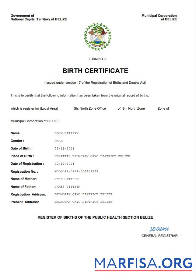 Professionell Belize vital record Geburt Zertifikat Word and PDF Vorlage
